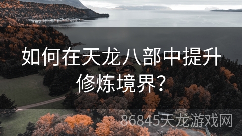 如何在天龙八部中提升修炼境界？