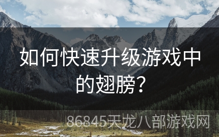 如何快速升级游戏中的翅膀？