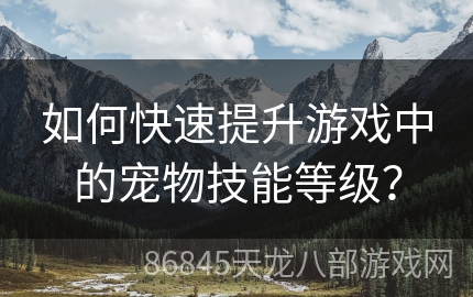 如何快速提升游戏中的宠物技能等级？