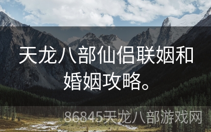 天龙八部仙侣联姻和婚姻攻略。