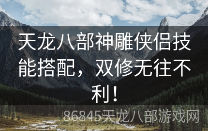 天龙八部神雕侠侣技能搭配，双修无往不利！