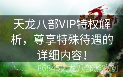 天龙八部VIP特权解析，尊享特殊待遇的详细内容！