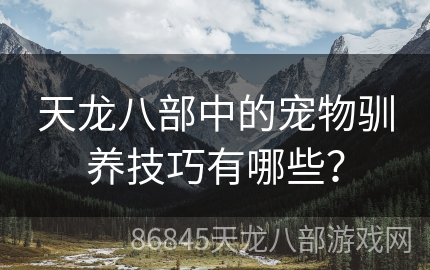 天龙八部中的宠物驯养技巧有哪些？