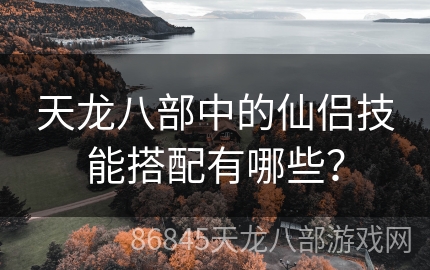 天龙八部中的仙侣技能搭配有哪些？