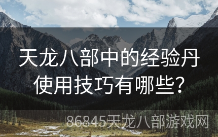 天龙八部中的经验丹使用技巧有哪些？