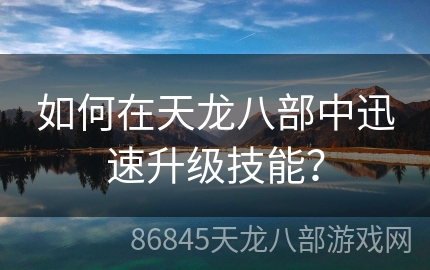 如何在天龙八部中迅速升级技能？