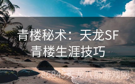 青楼秘术：天龙SF青楼生涯技巧