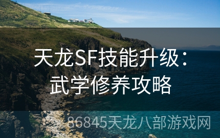 天龙SF技能升级：武学修养攻略