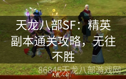 天龙八部SF：精英副本通关攻略，无往不胜