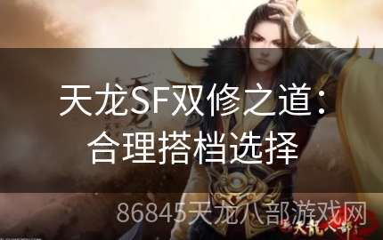 天龙SF双修之道：合理搭档选择