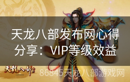 天龙八部发布网心得分享：VIP等级效益