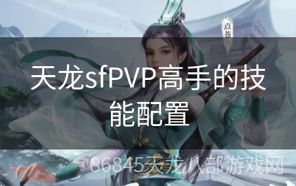 天龙sfPVP高手的技能配置