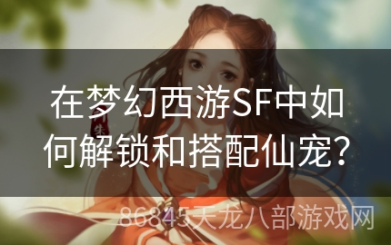 在梦幻西游SF中如何解锁和搭配仙宠？