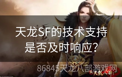 天龙SF的技术支持是否及时响应？