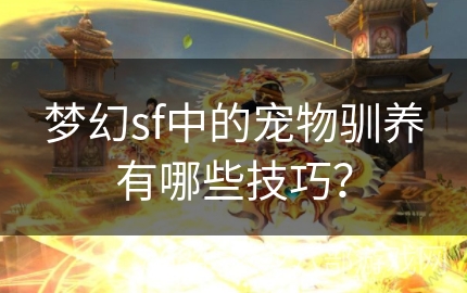 梦幻sf中的宠物驯养有哪些技巧？