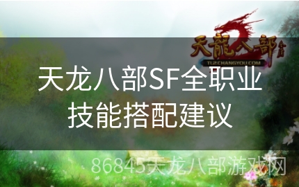 天龙八部SF全职业技能搭配建议