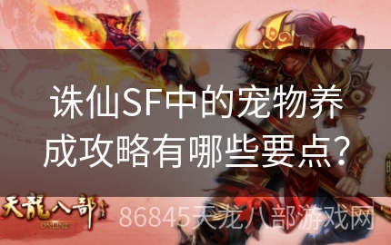 诛仙SF中的宠物养成攻略有哪些要点？