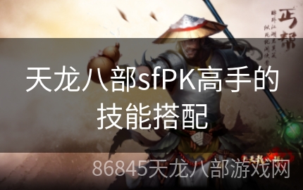 天龙八部sfPK高手的技能搭配