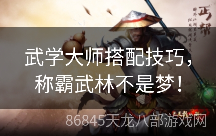 武学大师搭配技巧，称霸武林不是梦！