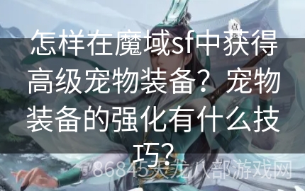 怎样在魔域sf中获得高级宠物装备？宠物装备的强化有什么技巧？