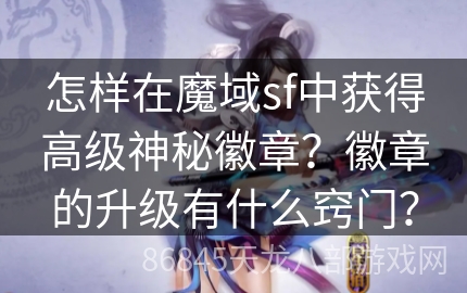 怎样在魔域sf中获得高级神秘徽章？徽章的升级有什么窍门？