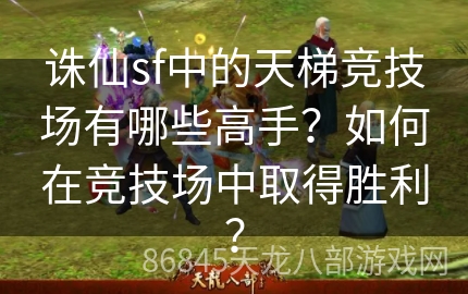 诛仙sf中的天梯竞技场有哪些高手？如何在竞技场中取得胜利？