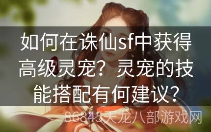 如何在诛仙sf中获得高级灵宠？灵宠的技能搭配有何建议？