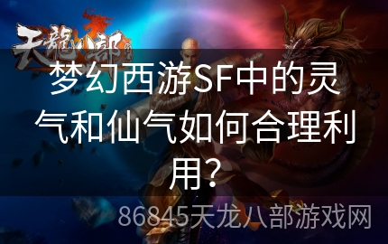 梦幻西游SF中的灵气和仙气如何合理利用？