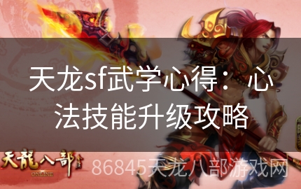 天龙sf武学心得：心法技能升级攻略