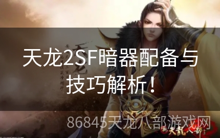 天龙2SF暗器配备与技巧解析！