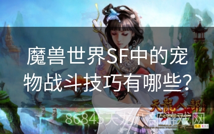 魔兽世界SF中的宠物战斗技巧有哪些？