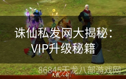 诛仙私发网大揭秘：VIP升级秘籍