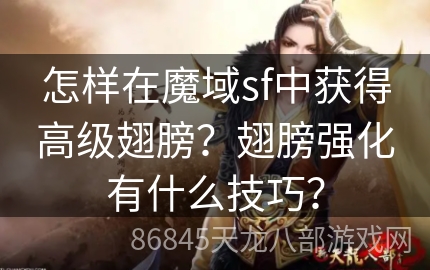 怎样在魔域sf中获得高级翅膀？翅膀强化有什么技巧？