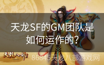 天龙SF的GM团队是如何运作的？