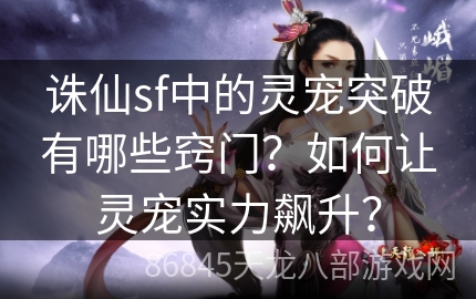 诛仙sf中的灵宠突破有哪些窍门？如何让灵宠实力飙升？