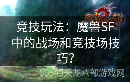 竞技玩法：魔兽SF中的战场和竞技场技巧？