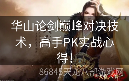 华山论剑巅峰对决技术，高手PK实战心得！