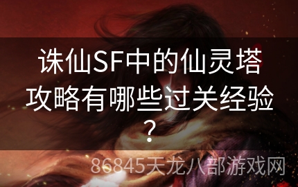 诛仙SF中的仙灵塔攻略有哪些过关经验？