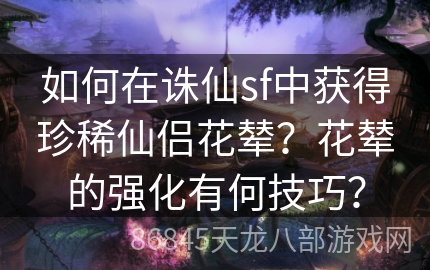 如何在诛仙sf中获得珍稀仙侣花辇？花辇的强化有何技巧？