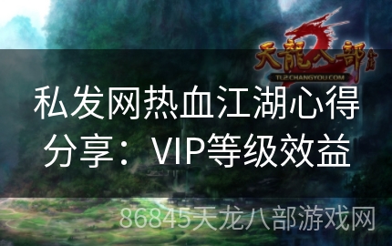 私发网热血江湖心得分享：VIP等级效益