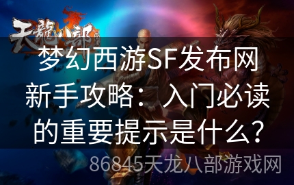 梦幻西游SF发布网新手攻略：入门必读的重要提示是什么？