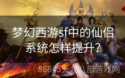 梦幻西游sf中的仙侣系统怎样提升？