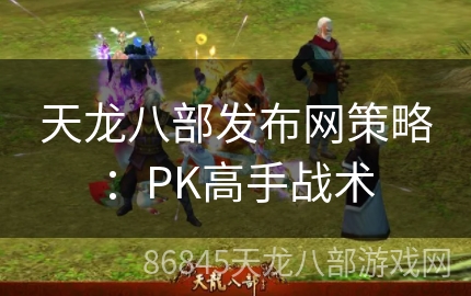 天龙八部发布网策略：PK高手战术