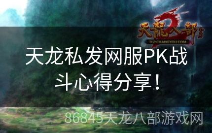 天龙私发网服PK战斗心得分享！