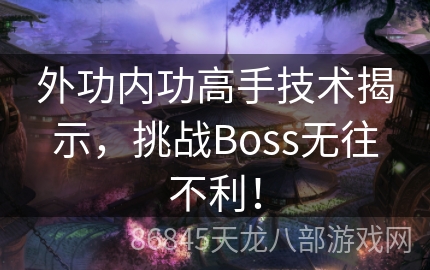 外功内功高手技术揭示，挑战Boss无往不利！