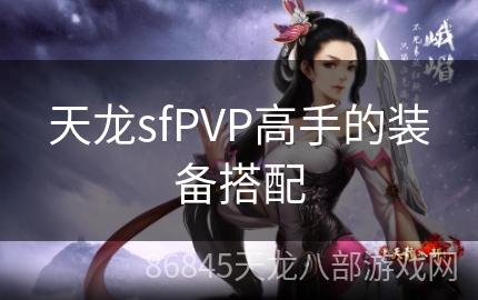 天龙sfPVP高手的装备搭配