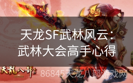 天龙SF武林风云：武林大会高手心得