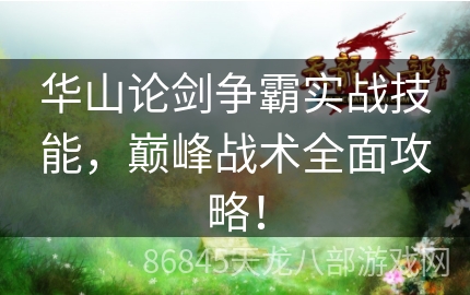 华山论剑争霸实战技能，巅峰战术全面攻略！