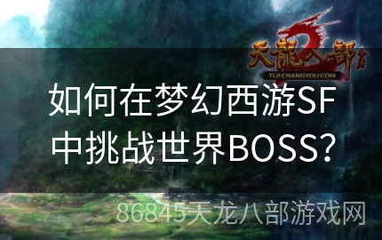 如何在梦幻西游SF中挑战世界BOSS？