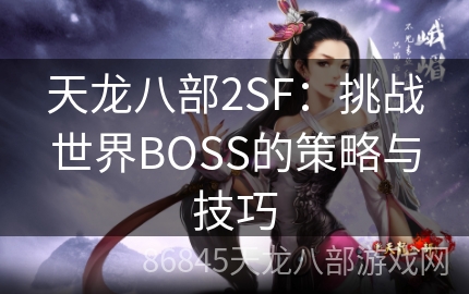 天龙八部2SF：挑战世界BOSS的策略与技巧